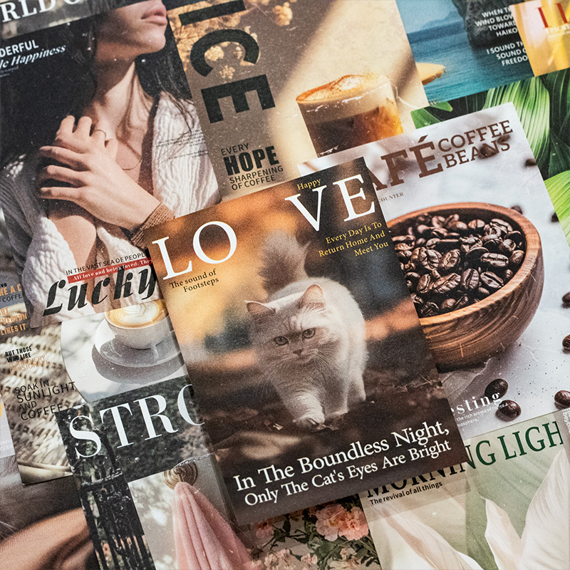 Mr.Paper 30枚入り/袋 ヴィンテージテーマ素材ステ - Vintage Collectible Magazines のレビューと価格